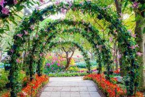 Discount Bloemenbogen in een parkje fotobehang Bloemen | 3d