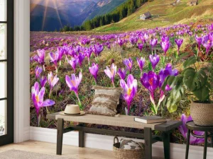 Fashion Bloemenveld van krokussen in de bergen fotobehang Bloemen