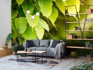 New Bodhi bladeren in de zon fotobehang Bloemen