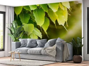 New Bodhi bladeren in de zon fotobehang Bloemen