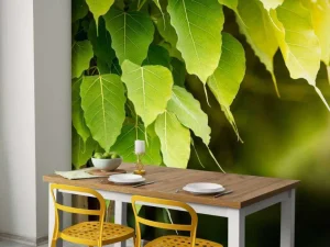 New Bodhi bladeren in de zon fotobehang Bloemen