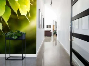 New Bodhi bladeren in de zon fotobehang Bloemen