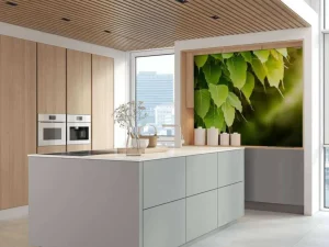 New Bodhi bladeren in de zon fotobehang Bloemen