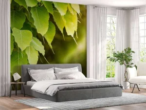 New Bodhi bladeren in de zon fotobehang Bloemen