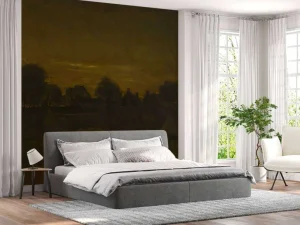 Clearance Boerendorp in de avond fotobehang Kunst & Design