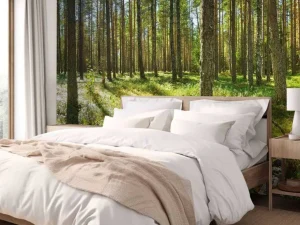 Discount Bomen in het Bos fotobehang Bloemen