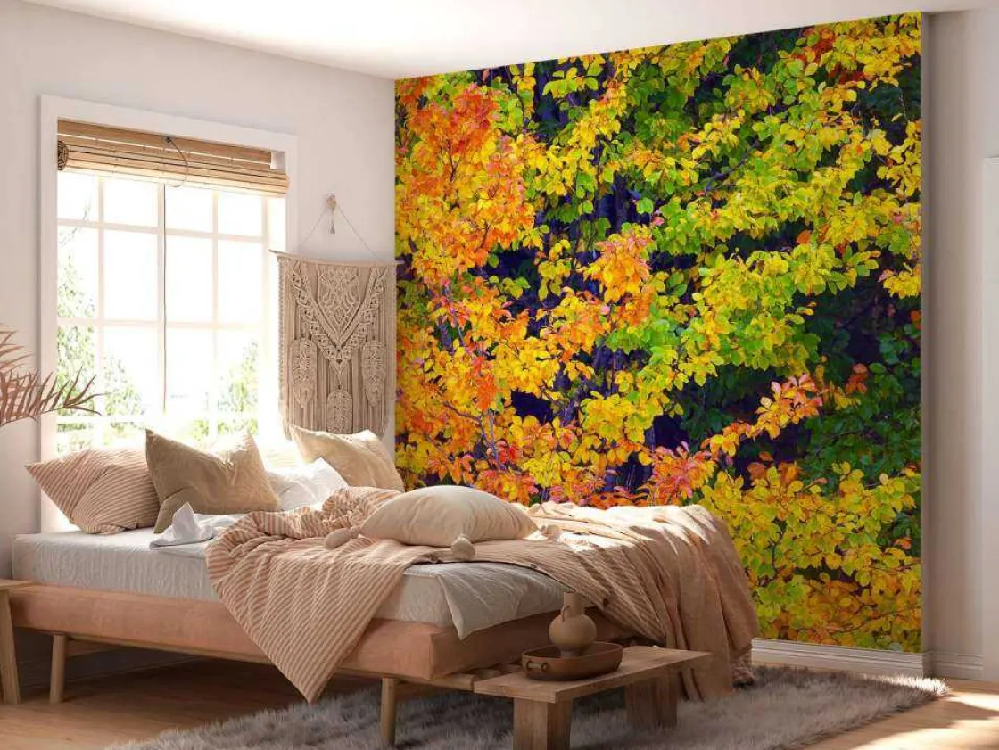 boom_tijdens_herfst_fotob_1.webp Best Boom tijdens Herfst fotobehang Bloemen