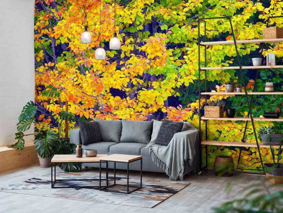 boom_tijdens_herfst_fotob_10.webp Best Boom tijdens Herfst fotobehang Bloemen