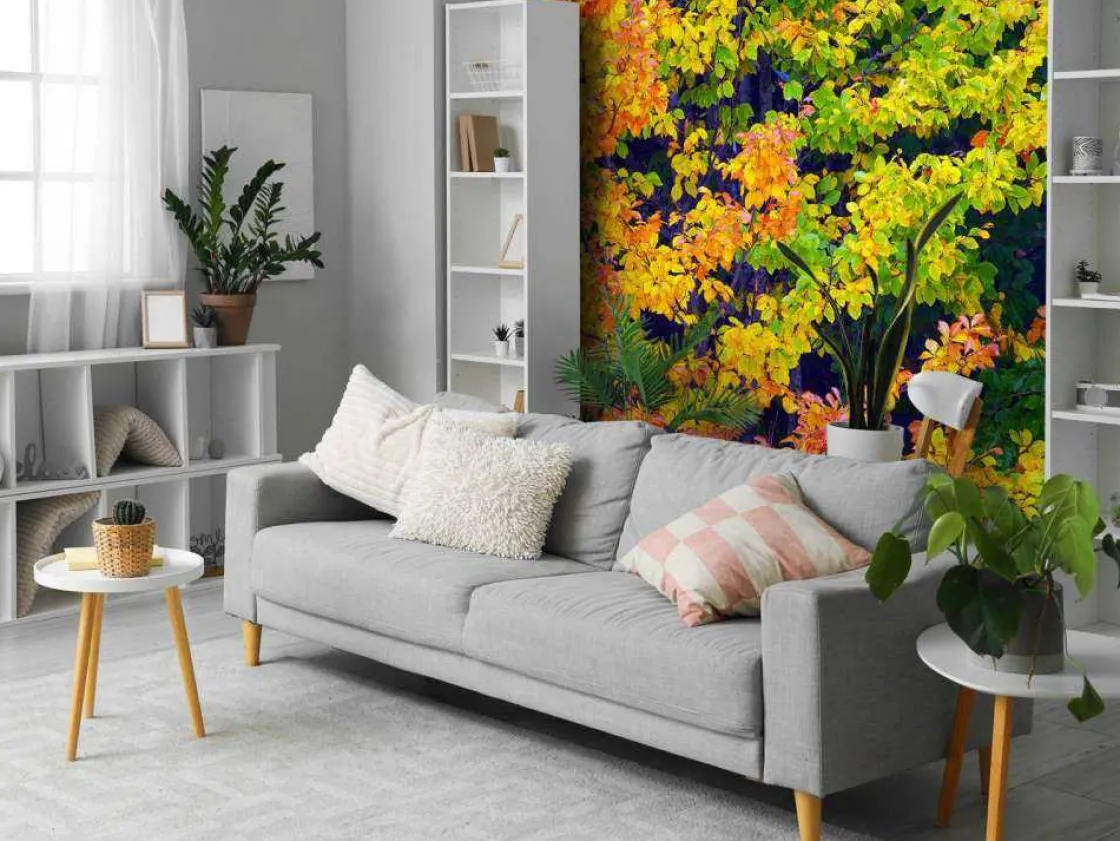 boom_tijdens_herfst_fotob_2.webp Best Boom tijdens Herfst fotobehang Bloemen
