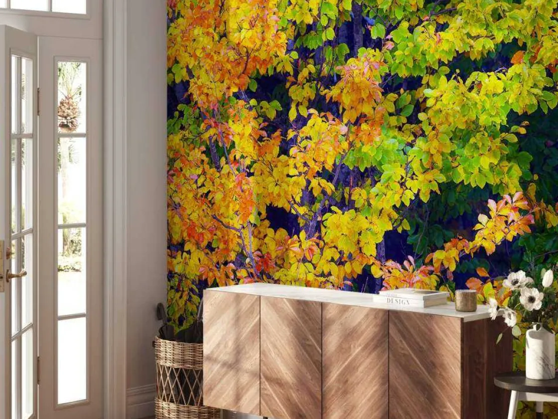 boom_tijdens_herfst_fotob_4.webp Best Boom tijdens Herfst fotobehang Bloemen
