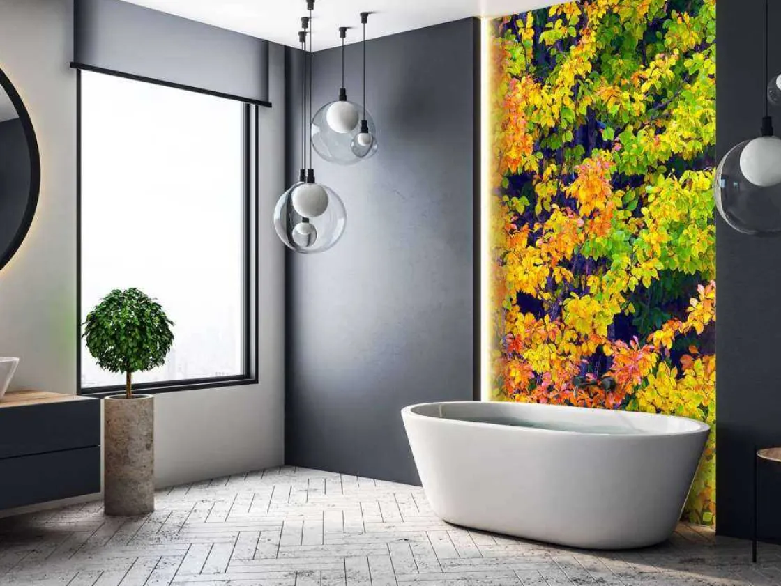 boom_tijdens_herfst_fotob_6.webp Best Boom tijdens Herfst fotobehang Bloemen