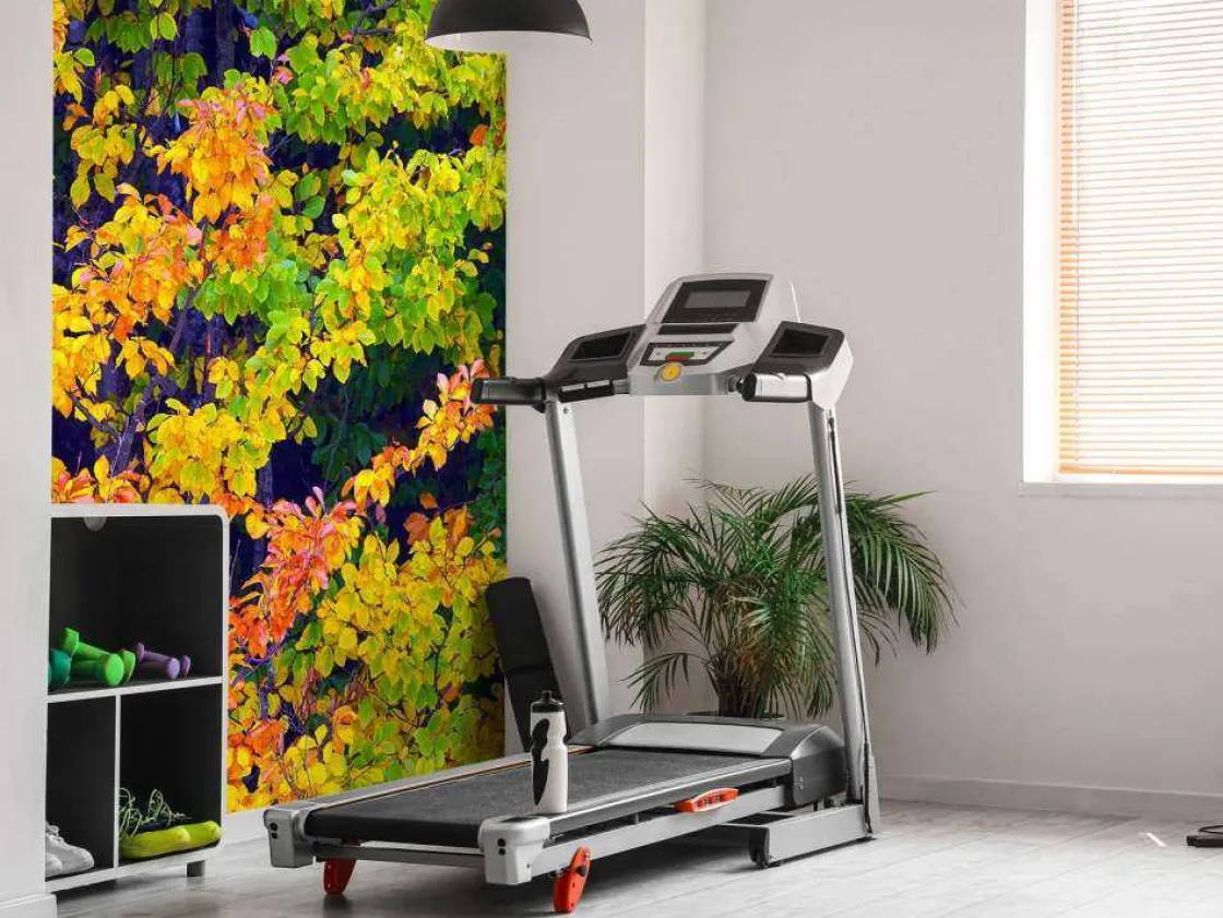 boom_tijdens_herfst_fotob_8.webp Best Boom tijdens Herfst fotobehang Bloemen