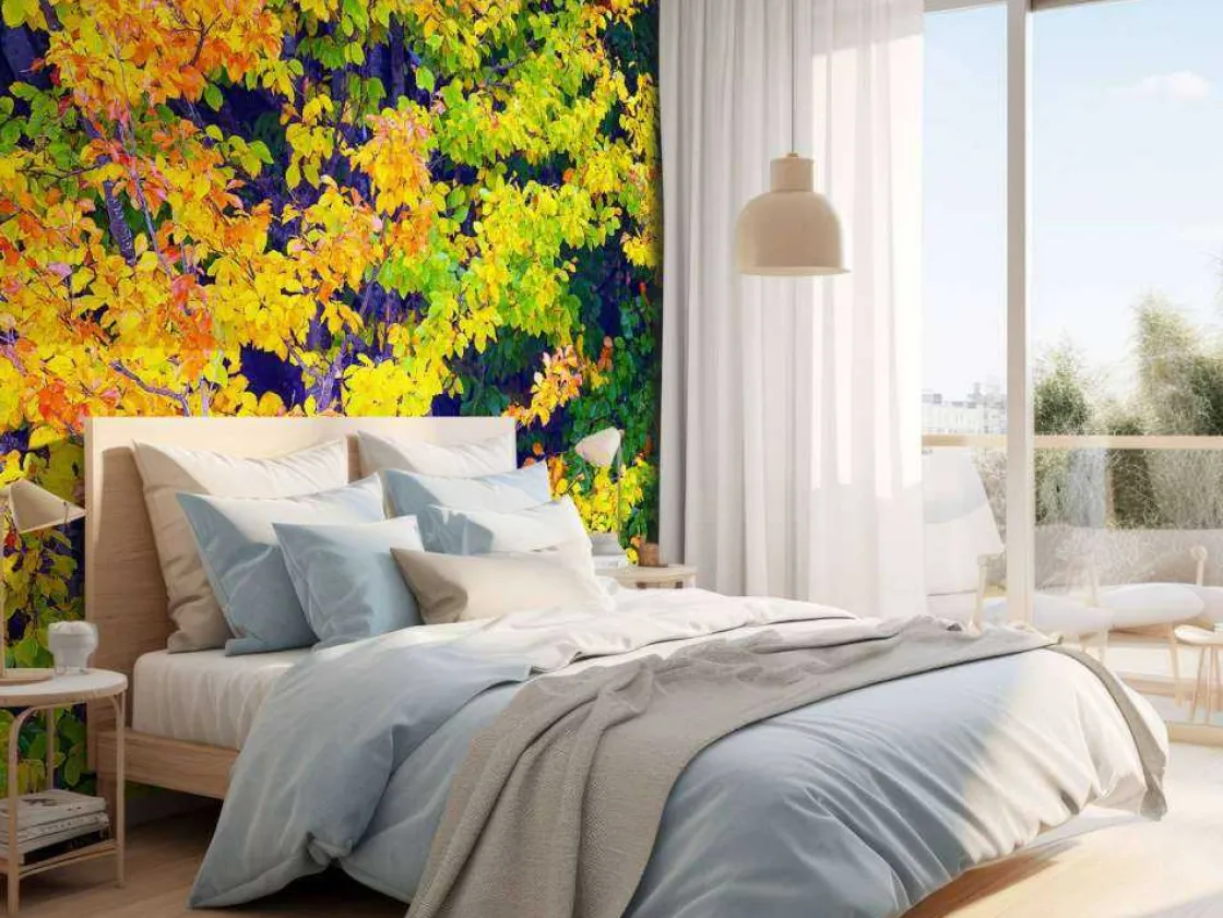 boom_tijdens_herfst_fotob_9.webp Best Boom tijdens Herfst fotobehang Bloemen