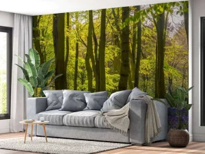 Discount Bos met veel lavendel fotobehang Bloemen