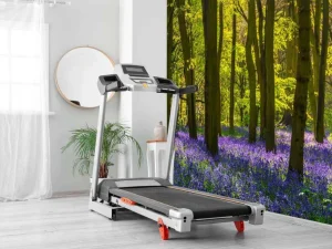 Discount Bos met veel lavendel fotobehang Bloemen