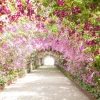 Discount Botanische tuin met orchideeën fotobehang Tienerkamer | 3d