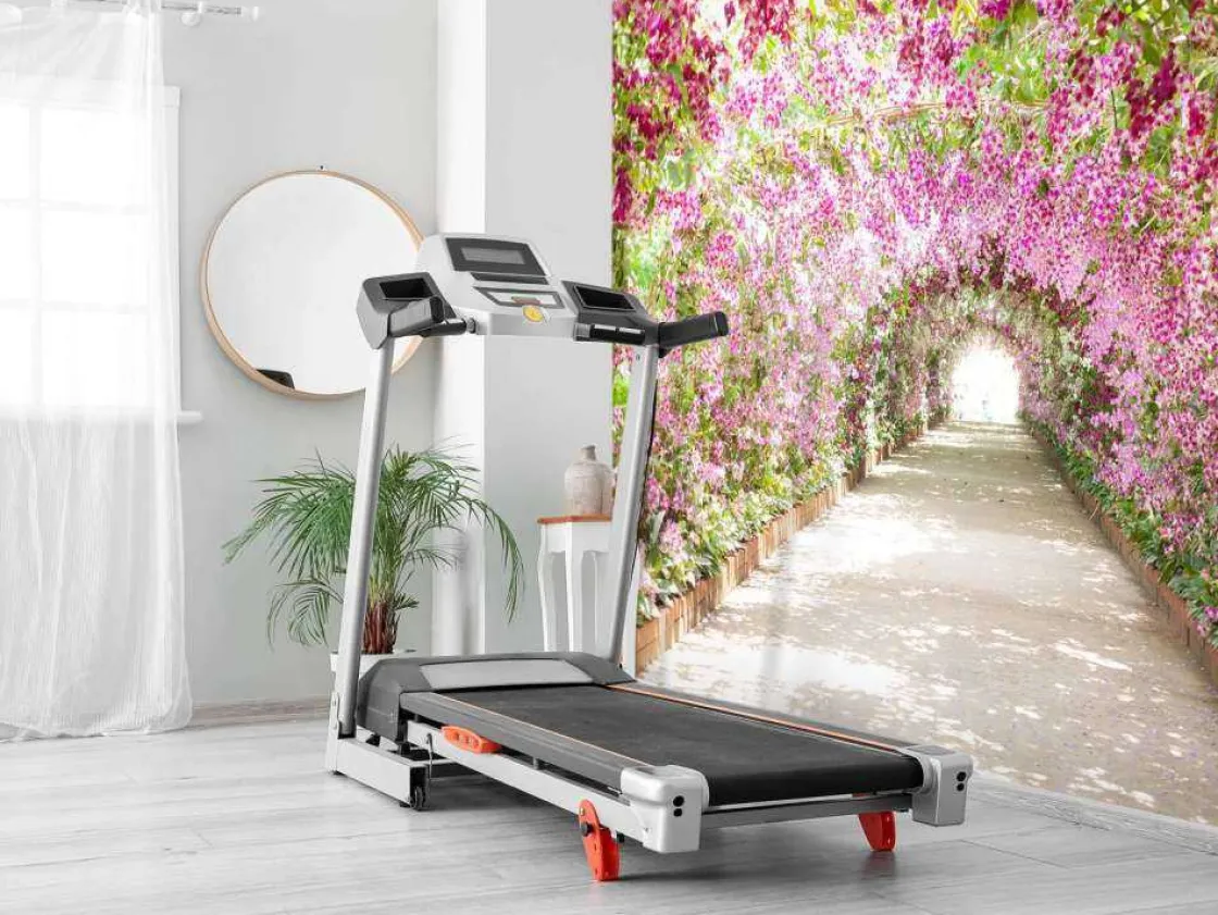 botanische_tuin_met_orchi_5.webp Discount Botanische tuin met orchideeën fotobehang Tienerkamer | 3d