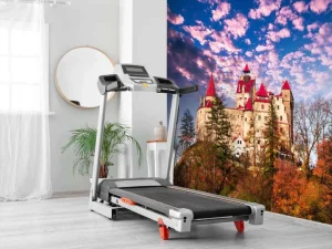 Hot Bran Castle in Roemenië fotobehang Bloemen | Architectuur