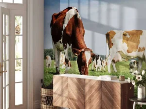 Hot Bruin Witte Koeien aan het grazen in de weide fotobehang Dieren