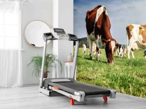 Hot Bruin Witte Koeien aan het grazen in de weide fotobehang Dieren