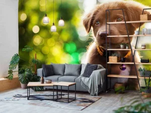 Outlet Bruine labrador met een wazige achtergrond fotobehang Dieren
