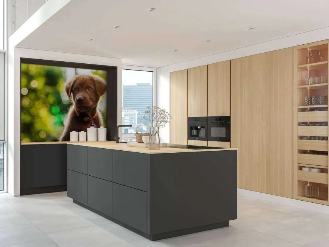 bruine_labrador_met_een_w_6.webp Outlet Bruine labrador met een wazige achtergrond fotobehang Dieren