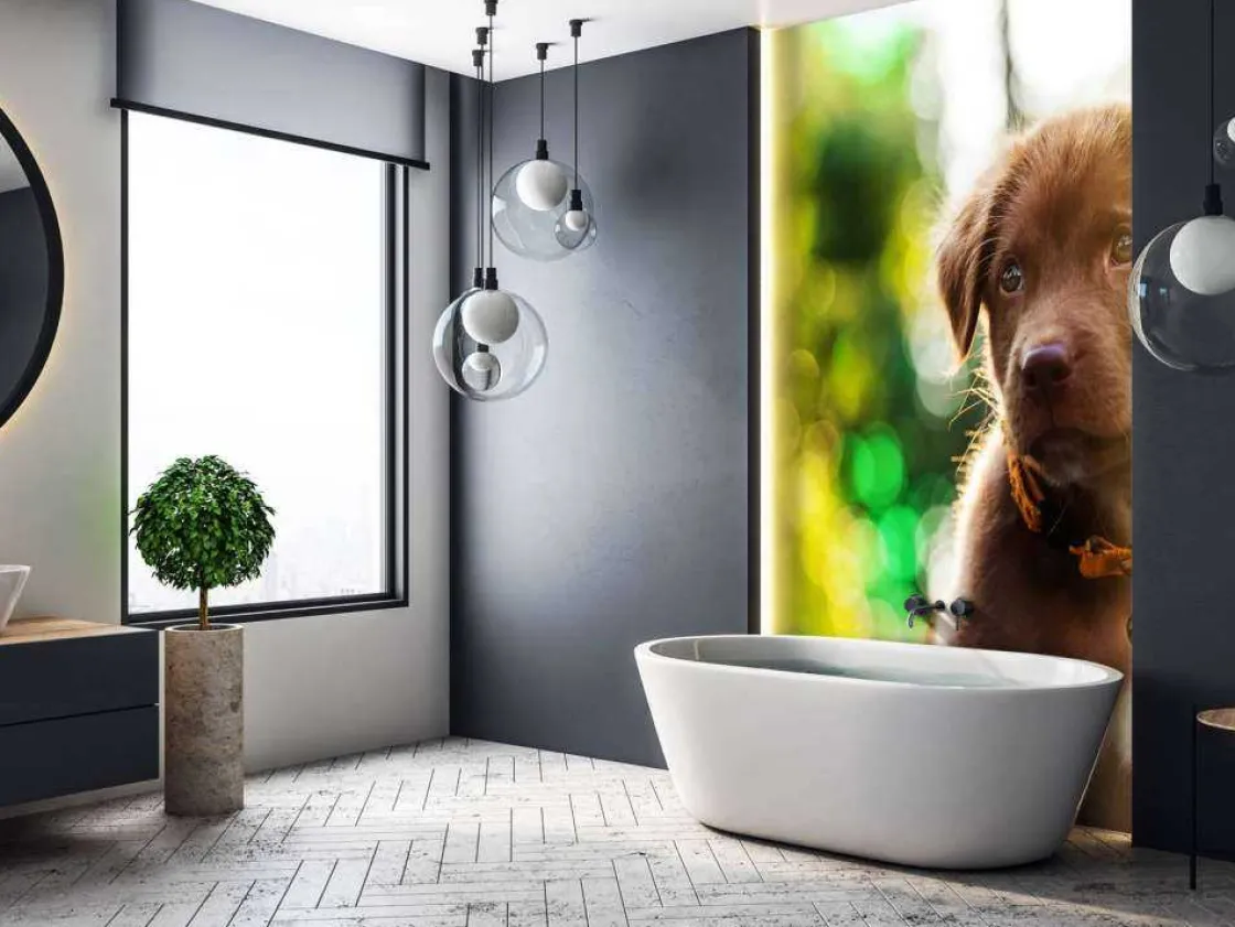 bruine_labrador_met_een_w_8.webp Outlet Bruine labrador met een wazige achtergrond fotobehang Dieren