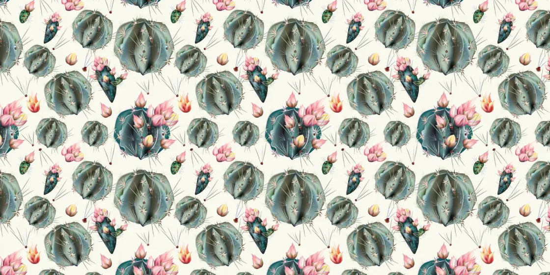 cactussen_met_bloemen_0.webp Sale Cactussen met bloemen Bloemen