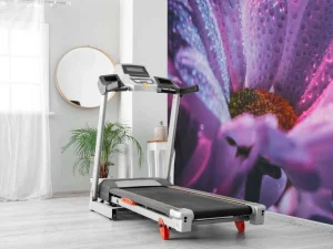 Fashion Chrysant bloem met dynamische kleuren fotobehang Tienerkamer | Hobbykamer
