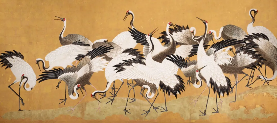 crane_birds_0.webp Fashion Crane Birds Dieren