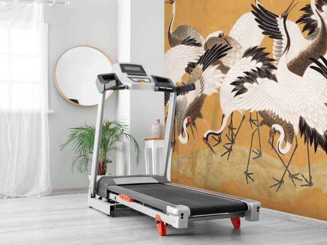 crane_birds_6.webp Fashion Crane Birds Dieren
