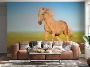 Discount Cremello Paard in weide fotobehang Tienerkamer | Kinderkamer