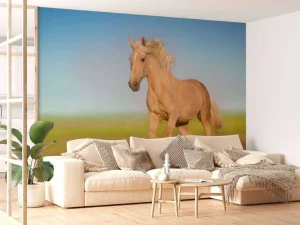 Discount Cremello Paard in weide fotobehang Tienerkamer | Kinderkamer