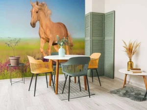 Discount Cremello Paard in weide fotobehang Tienerkamer | Kinderkamer