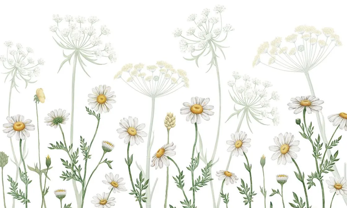 dazzling_daisies__white_0.webp New Dazzling Daisies - White Kinderkamer | Bloemen