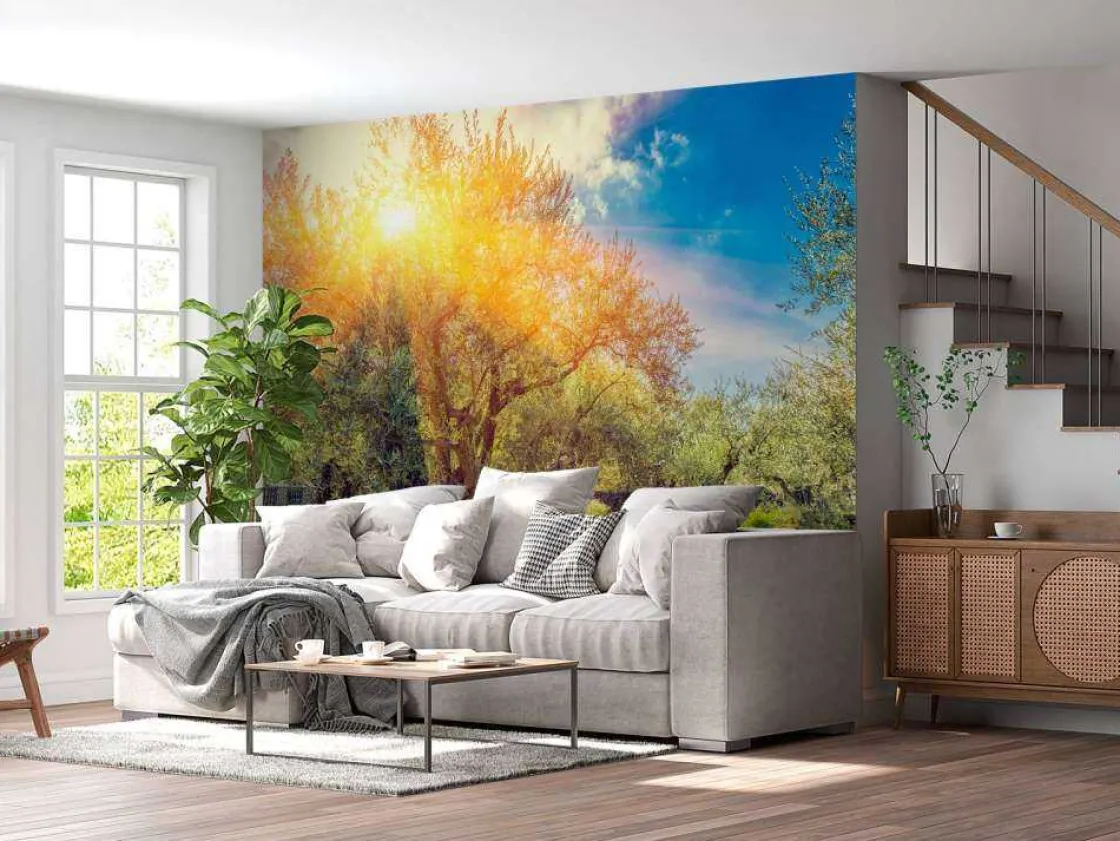 de_gethsemane_olijven_boo_10.webp New De Gethsemane olijven boomgaard bij zonsopkomst fotobehang Bloemen