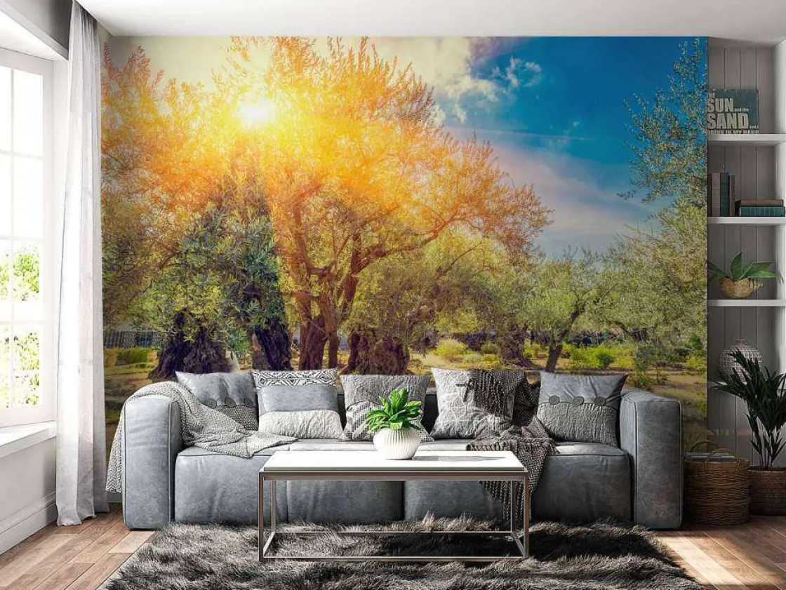de_gethsemane_olijven_boo_2.webp New De Gethsemane olijven boomgaard bij zonsopkomst fotobehang Bloemen