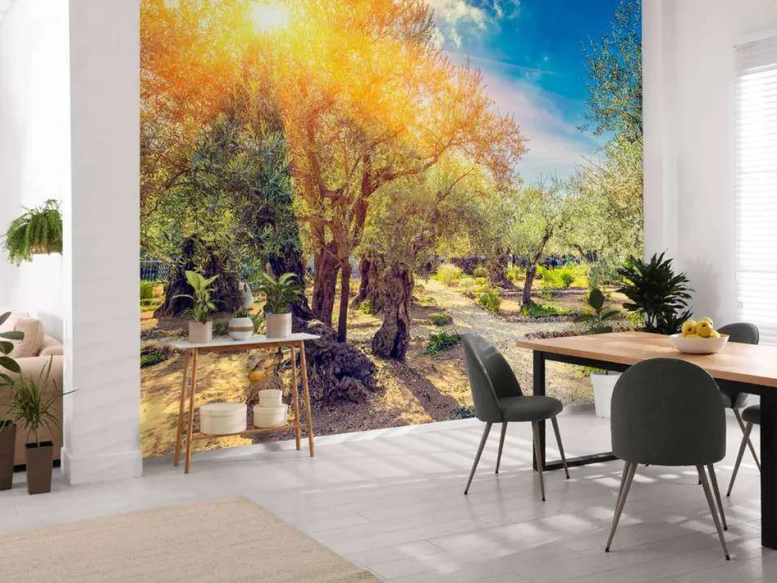 de_gethsemane_olijven_boo_3.webp New De Gethsemane olijven boomgaard bij zonsopkomst fotobehang Bloemen