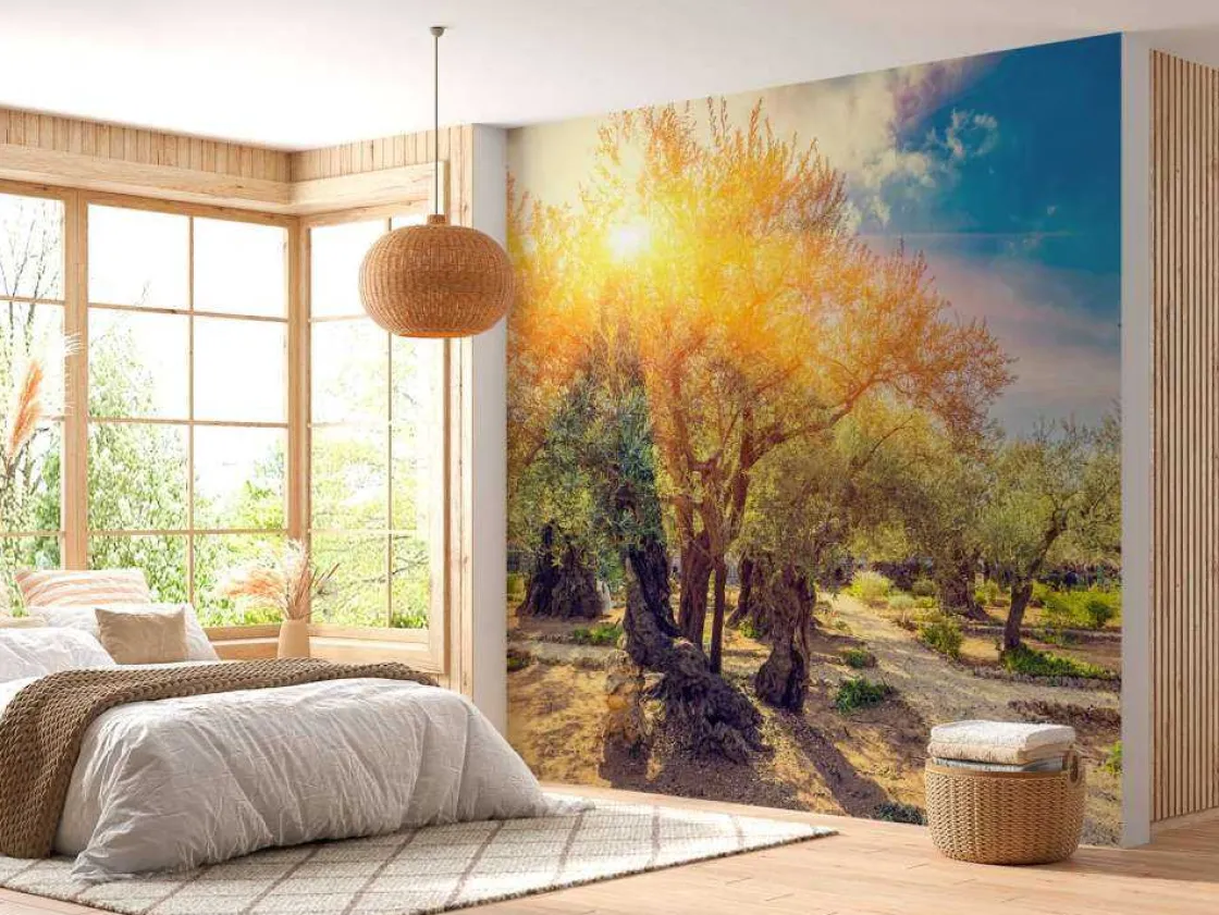 de_gethsemane_olijven_boo_9.webp New De Gethsemane olijven boomgaard bij zonsopkomst fotobehang Bloemen