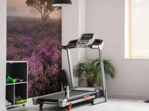 Clearance De Veluwe in de vroege ochtend fotobehang Bloemen