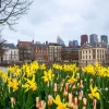 Clearance Den Haag met bloemen op de voorgrond fotobehang Steden | Architectuur