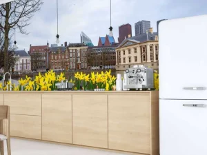 Clearance Den Haag met bloemen op de voorgrond fotobehang Steden | Architectuur