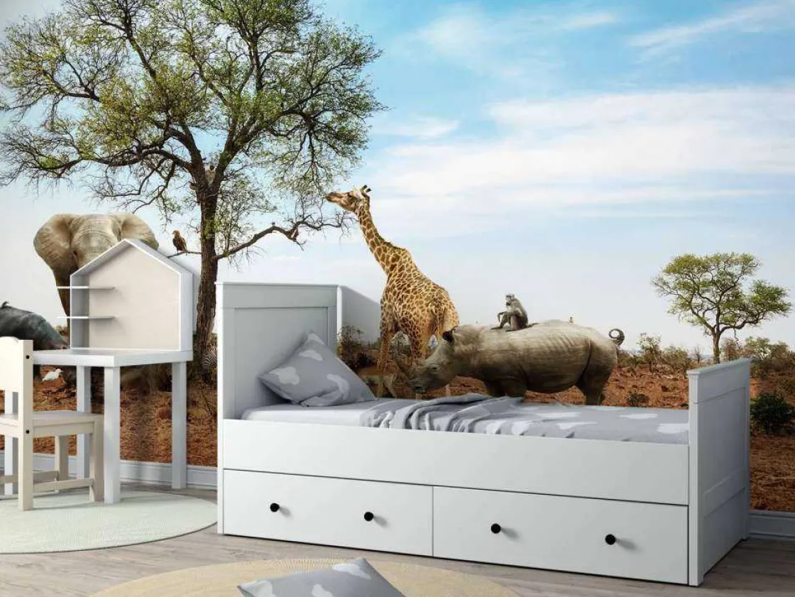 dieren_in_een_droog_lands_3.webp Best Dieren in een droog landschap fotobehang Tienerkamer | Dieren