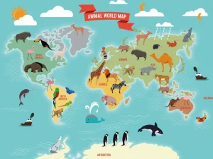Outlet Dieren wereldkaart Kinderkamer | Dieren