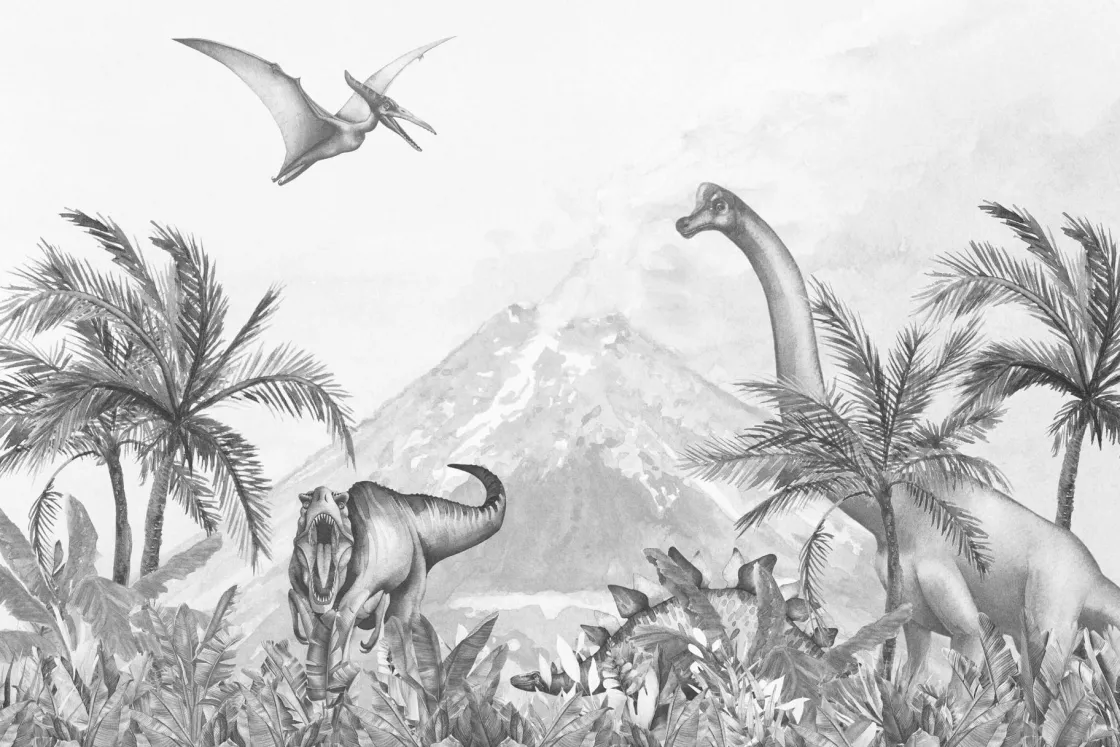 dinos_in_zwartwit_0.webp Outlet Dino's in zwart-wit Kinderkamer