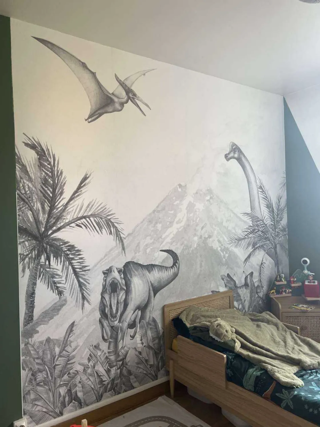 dinos_in_zwartwit_5.webp Outlet Dino's in zwart-wit Kinderkamer