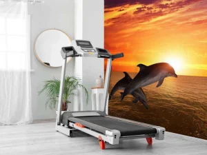 Online Dolfijnen bij zonsondergang fotobehang Tienerkamer
