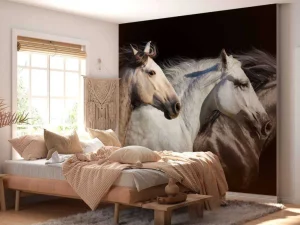 Best Drie paarden met een zwarte achtergrond fotobehang Tienerkamer | Kinderkamer