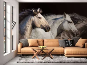 Best Drie paarden met een zwarte achtergrond fotobehang Tienerkamer | Kinderkamer