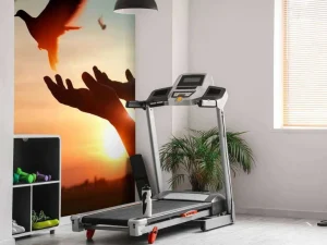 Sale Duif bij zonsondergang fotobehang Kunst & Design | Dieren